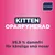 Kitten oparfymerad, 99,9 % dammfri för känsliga små nosar, kattungar Kitten oparfymerad, 99,9 % dammfri för känsliga små nosar, kattungar