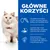 Główne korzyści: wyselekcjonowane źródła wysokiej jakości białka bez zbóż, lekkostrawne składniki z jajami, kwasy tłuszczowe omega-3 i omega-6 dla skóry. Biały kot obok tekstu.