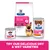 Hill's Prescription Diet Gastrointestinal Biome dry and wet dog food packaging, visible text: digestive/fibre care, veterinarian recommended. Banner reads: Try our delicious dry & wet varieties.