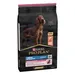 PURINA PRO PLAN Large Athletic Adult Sensitive Skin losos - 10 kg