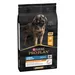 PURINA PRO PLAN Large Robust Adult Everyday Nutrition - 10 kg