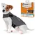 Chien portant un gilet ThunderShirt gris, à côté de l’emballage indiquant : Solution efficace pour relaxer les chiens stressés, taille S 6–11 kg, méthode douce, facile à utiliser.