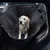 Svart, vadderat bilskydd på baksätet med säkerhetsbälten, hund sitter på. Synligt skydd mot smuts och repor i bilen.