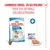 Royal Canin Mini Starter Mother & Babydog Hondenvoer