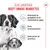 Royal Canin Medium Starter Mother & Babydog Hondenvoer