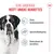 Royal Canin Giant Junior Hondenvoer