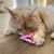 Beige Katze spielt mit einem pinken Stoffspielzeug mit Hello Kitty-Motiv auf Holzboden.