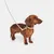 Brown dachshund with beige rope collar and matching lead, gold metal clasps visible.