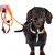 Hundehalsband und Leine aus orangefarbenem Seil mit grünen und blauen Akzenten, gehalten von einer Hand. Geeignet für Spaziergänge.