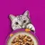 Whiskas Tasty Mix 48 x 85 g