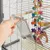 Hand öffnet eine Metalltür an einem Vogelkäfig mit buntem Spielzeug aus Holz und Seil im Inneren.