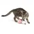 Gato atigrado juega con una pelota de juguete roja y blanca con patrón de zigzag y plumas blancas.