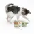 Young cat playing with green fabric toy shaped like a mouse and small cushions. Toy includes feathers and rope.