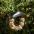 Black metal feeder in ring shape, filled with fat balls, hanging from a tree branch in the garden.
