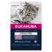 Eukanuba Kitten Grain Free lohi - 10 kg