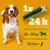 Насоки за хранене: 1 брой на 24 часа, за кучета 10–25 кг, 82 kcal на стик. Изображение на куче и зелен дентален стик.