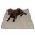 Chien marron allongé sur une grande couverture grise en tissu, logo Nobby visible dans un coin de la couverture.
