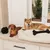 Two dogs on a white lying surface with a black knotted toy and a black fabric bone toy.