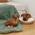 Green quilted dog blanket with toy rope and round dog bed made of braided material with white cushion.
