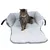 Katzenbett mit weicher, grauer Polsterung und erhöhten Seitenwänden. Katze sitzt auf der Liegefläche.