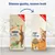 Confronto tra vecchio e nuovo packaging di Purina Cat Chow Adult, scritta: 'Stesso gusto, nuovo look'. Nuovo: 50% animal proteins, adult, rich in chicken, with natural prebiotic.