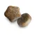 Close-up of two pieces of dry pet food kibble, showing their size and shape for product comparison.