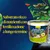 Tetra Complete Substrate, substrato ricco di nutrienti con fertilizzazione a lungo termine. Tetra Complete Substrate, substrato ricco di nutrienti con fertilizzazione a lungo termine.