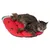 Striped cat lying on a red, watermelon-shaped mat with green and white accents.
