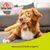 8in1 Better Bello Rouleau de poulet pour chien