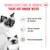 Behind every stage of growth, there are unique needs. Ideal starter food for kittens, strong immune system, brain development. Behind every stage of growth, there are unique needs. Ideal starter food for kittens, strong immune system, brain development.