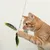 Gato rojo juega con una caña de juguete con plumas verdes y negras.