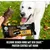 Chien blanc à l’extérieur, friandise Crave Protein Centres au poulet tenue en main, emballage avec texte allemand : 100 % natürlichem Huhn, sans céréales, longue durée. Marque Crave visible.