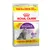 Royal Canin Regular Sensible 33 karma dla kotów, opakowanie 12kg z 10kg + 2kg gratis. Dla wrażliwego trawienia, optymalne przyswajanie składników odżywczych. Kot na opakowaniu.