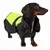 Hund trägt eine schwarze und neongelbe Schutzweste mit reflektierenden Streifen. Produkt zeigt Sicherheitskleidung für Hunde.