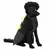Schwarzer Hund trägt eine schwarze und neongelbe Regenjacke mit Kapuze. Produkt zeigt Schutzkleidung für Hunde.