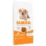 IAMS Advanced Nutrition Puppy & Junior Large Kip Hondenvoer - Dubbelpak: 2 x 12 kg