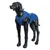 Figura de modelo de perro negra lleva un arnés azul para perro con tiras reflectantes. El arnés muestra diseño y ajuste.