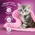 Image states: 100 purr-cent of your kitten’s daily needs, natural defences, healthy bones and teeth, digestive support. Grey kitten shown beside these benefits.
