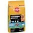 Pedigree Professional Nutrition Adult con manzo e verdure Crocchette cane - Set %: 2 x 12 kg