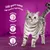 100 purr-cent high quality ingredients, natural defences, strong muscles, healthy skin & coat feliratok angolul, szürke cirmos macska lila háttér előtt. A szöveg nem magyar.