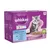 Whiskas Kitten Fish Favourites in jelly, 12-pack. Includes salmon, tuna, cod and whitefish varieties. For kittens aged 2-12 months. 100% high quality ingredients. Whiskas Kitten Fish Favourites in jelly, 12-pack. Includes salmon, tuna, cod and whitefish varieties. For kittens aged 2-12 months. 100% high quality ingredients.