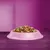 Bowl filled with assorted dry pet food pieces in various shapes and colours, displayed on a purple surface against a purple background.