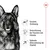 Texte en allemand : Gesunde Verdauung, Unterstützung der Knochen und Gelenke, Optimale Unterstützung der Vitalität. Illustrations de chien et symboles associés.