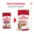 Royal Canin Medium Ageing 10+ mit neuem Produktdesign und optimierter Rezeptur. Grösse M, 140g, Gravy-Salsa, unterstützt Muskelmasse bei Hunden ab 7 Jahren.