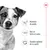 Graphique avec chien et texte en français : maintien du poids, os solides et sains, soutien optimal de la santé. Graphique avec chien et texte en français : maintien du poids, os solides et sains, soutien optimal de la santé.