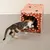 Katzenhaus aus Karton mit Lebkuchen-Design, Katze untersucht den Eingang. Sichtbar: Öffnungen und Kratzfläche innen.