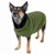 Chien portant un pull en maille vert, coupe ajustée, col roulé. Pull visible sur l’ensemble du corps du chien, matière tricotée.