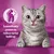 Image shows a cat with text stating: Scientifically proven to reduce tartar build up, alongside a tooth icon with a medical cross.