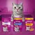 Three Whiskas snack packs displayed: Dentabites with Chicken, Temptations, and Crunch Delicious Topping. Each pack shows product name, flavour, weight, and key features.