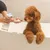Person uses a dispenser to apply foam to their hand while a brown dog stands in a bathtub.